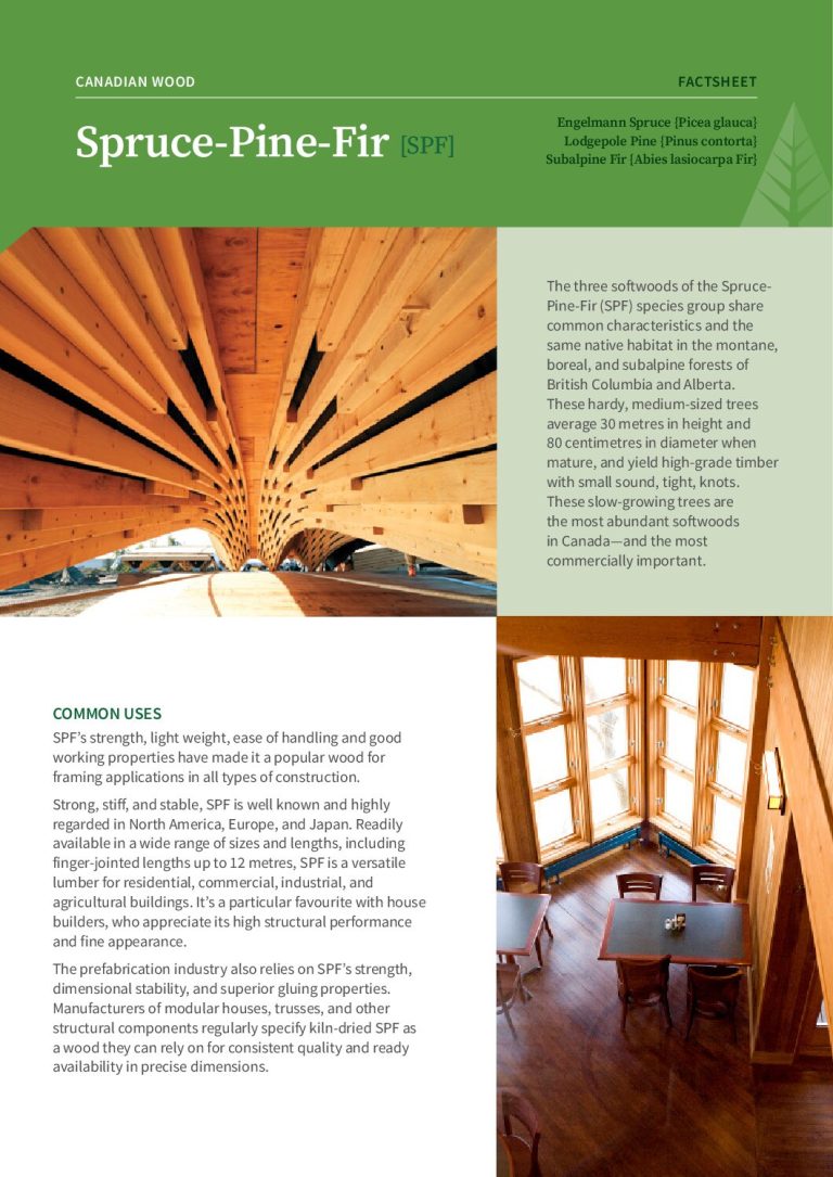 Spruce-Pine-Fir SPF Factsheet Cover