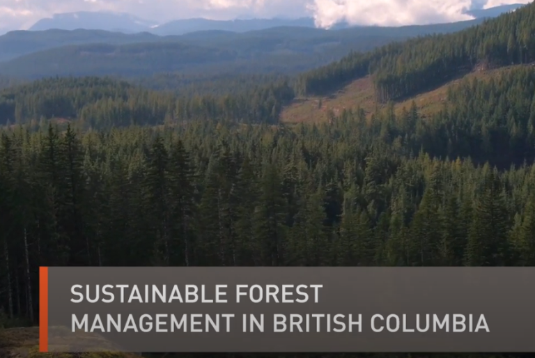 Sustainable Forest Management in B.C. Video Thumbnail