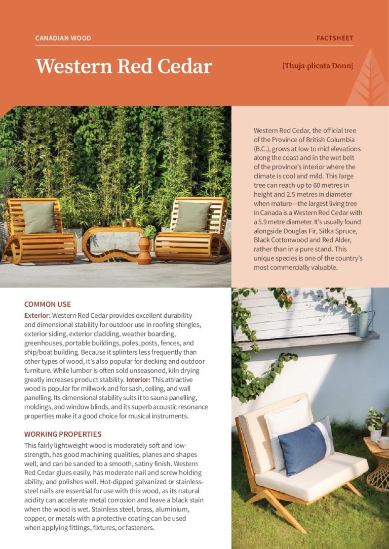 Western Red Cedar Factsheet Cover