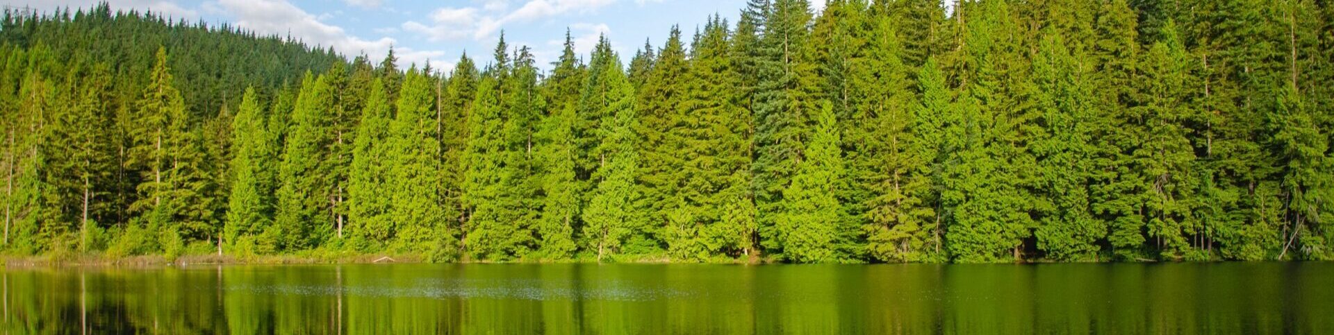 Why Canadian Wood hero image 1