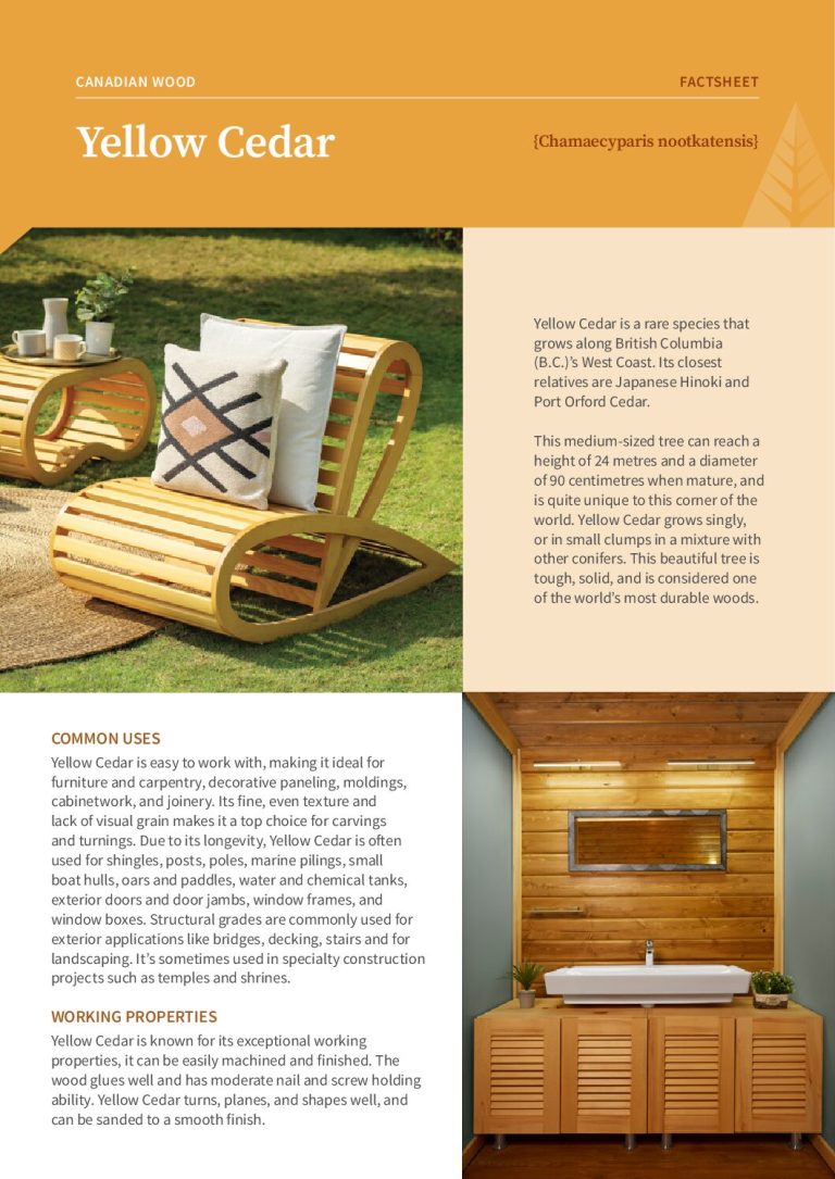 Yellow Cedar Factsheet Cover